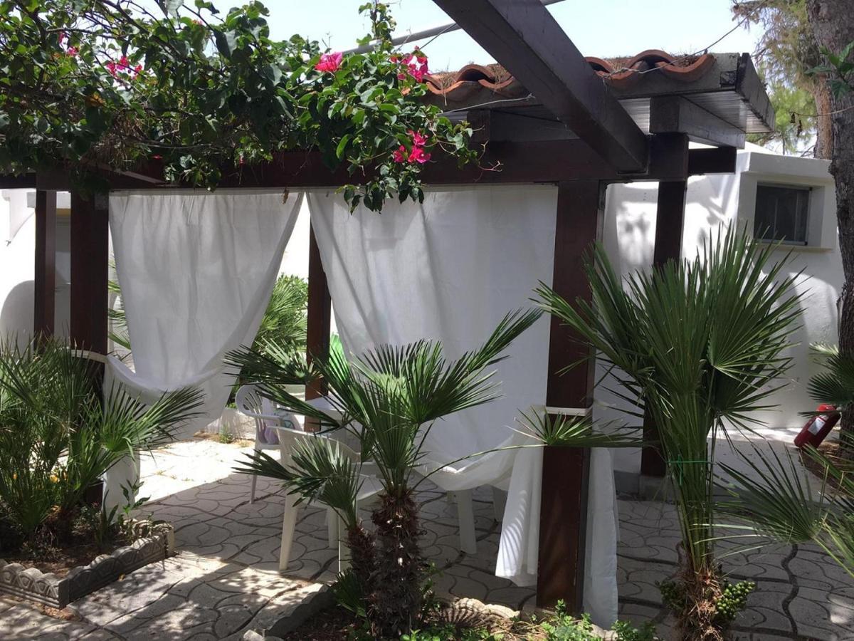 3只美人鱼度假屋 夏卡 外观 照片